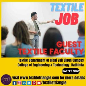 textile guest faculty job giani zail singh