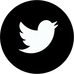 twitter logo